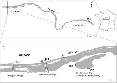 Occurrence and Origins of Cerium Dioxide and Titanium Dioxide Nanoparticles in the Loire River (France) by Single Particle ICP-MS and FEG-SEM Imaging